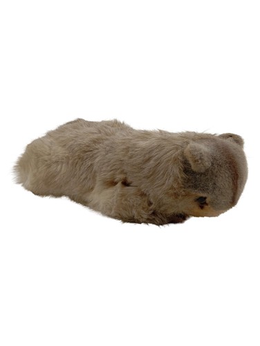 Steiff kuscheltier murmeltier - kuscheltier,