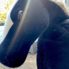 Rollpferd Kinder Spielpferd Reitpferd Plüschpferd Schaukelpferd XXL mit Rollen