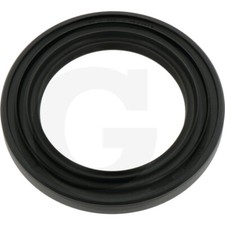 Dichtring Antriebswelle