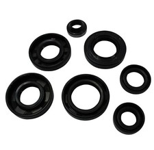 Wellendichtring / Motor