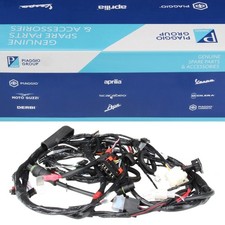 Wiring Loom Wiring Harness for