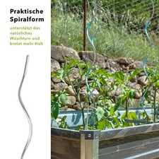 Tomatenspiralstäbe  Voll