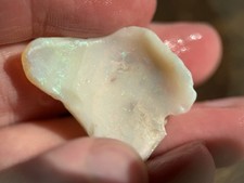 Coober Pedy fossile Opal