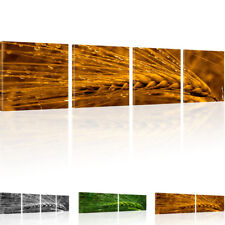 Bilder Weizen Tropfen Feld Bilder Leinwandbild mit Keilrahmen