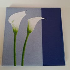 Design House Fliese blau mit