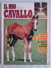 Mein pferd milton stall - pferd,