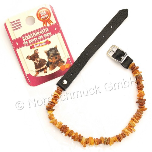 Bernsteinkette hund katze - bernsteinkette,
