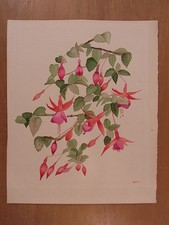 Picture by Nancy Kaestner