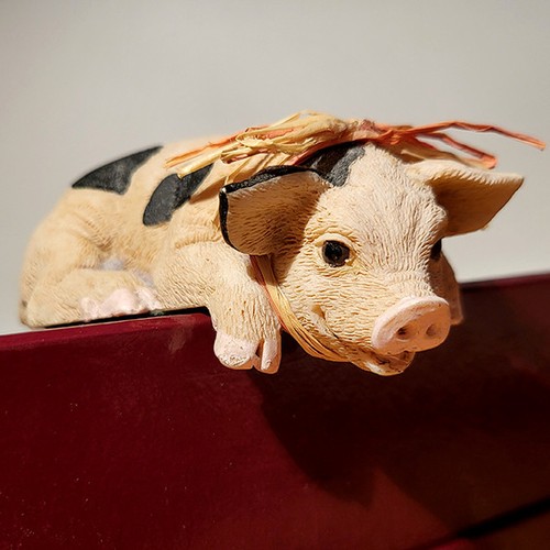 Schwein ferkel - schwein, ·