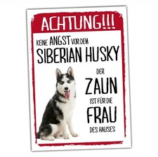 Siberian husky dog - husky, schild