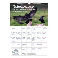 Rabenzauber Raben, Krähen und