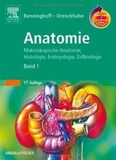 Benninghoff, Drenckhahn, Anatomie: Makroskopische Anatom... | Buch | Zustand gut