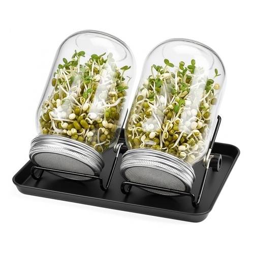 Sprossenglas anzuchtglas - sprossenglas,