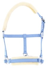 NORTON Fohlenhalfter mit