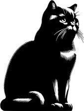 BRITISCH KURZHAAR Aufkleber - sticker -Katzenaufkleber - Autoaufkleber  #80