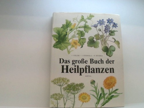 Das große buch - das, der