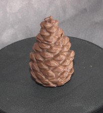 Geocache Versteck Tannenzapfen