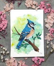 Aquarell blauhäher gemälde - aquarell,
