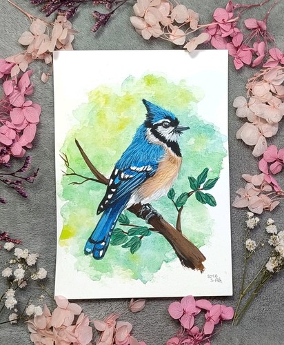 Aquarell blauhäher gemälde - aquarell,