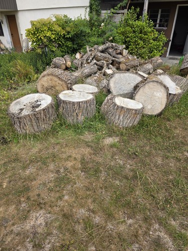 Frisches stammholz brennholz - /,