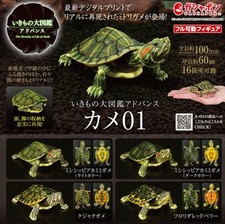 Neue Bandai Gashapon Turtle