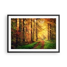 Wandbilder 70x50cm Poster Wald