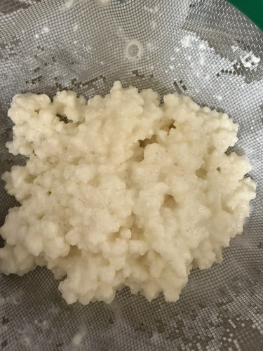 Bio milchkefir - g, bio-milchkefir