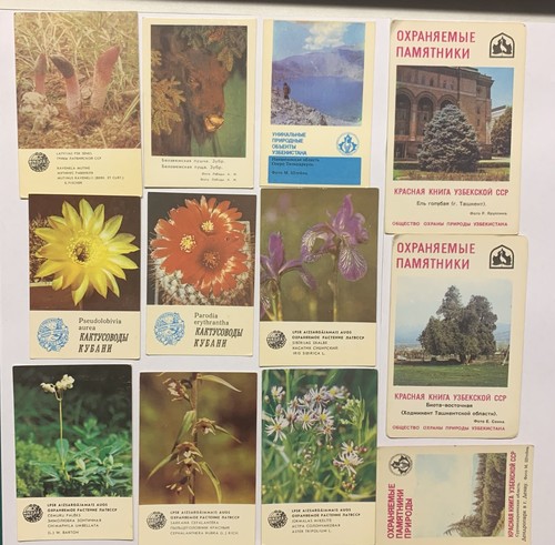 Taschenkalender mini - 12,