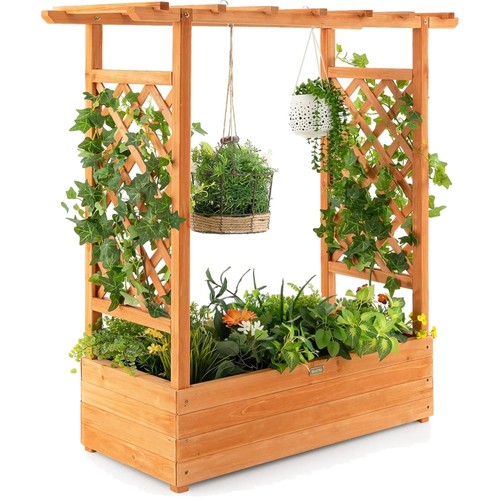Blumenkasten mit rankgitter - blumenkasten,