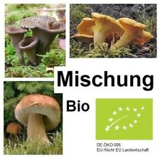 Pilze Mischung 100g Bio