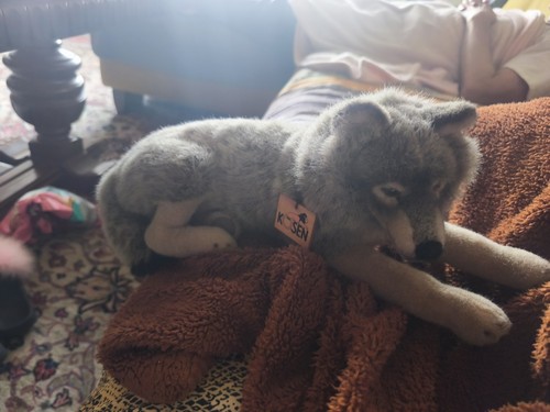 Kösen wolf liegend - kösen, cm)