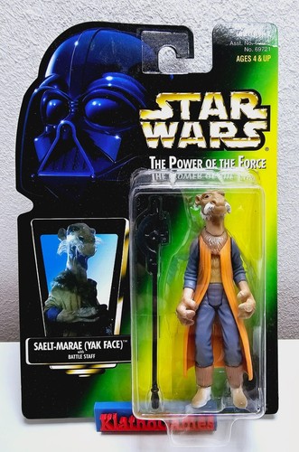 Saelt marae star - saelt,