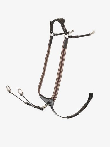Lemieux arika elastisches - lemieux,