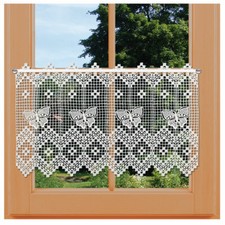 Spitzengardine Butterfly in