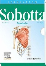 Sobotta Lernkarten Muskeln von Bräuer, Lars | Buch | Zustand gut