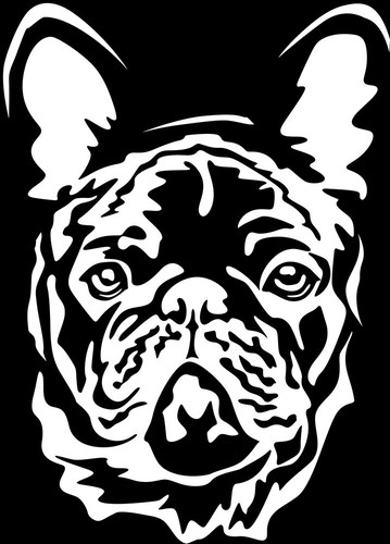 Französische bulldogge - franzÖsische,