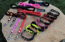 Welpenset Halsband + 3m Leine
