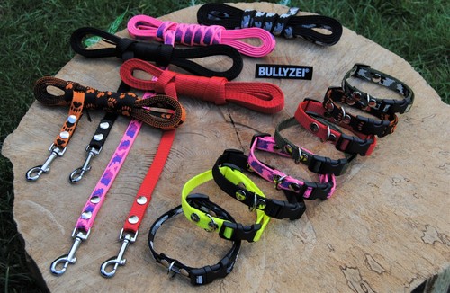 Welpenset halsband 3m leine - welpenset,