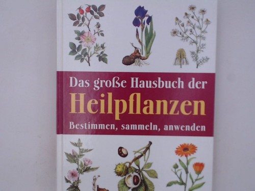 Das grosse hausbuch - grosse, der