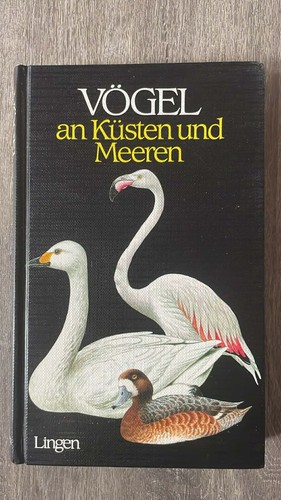 Vögel küsten und - vögel,