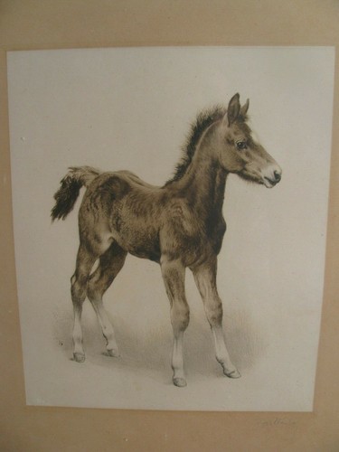 Kurt meyer eberhardt 1895 - meyer-eberhardt,