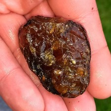 Bernstein Rohbernstein 19