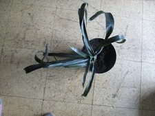   Bromelie (Billbergia)