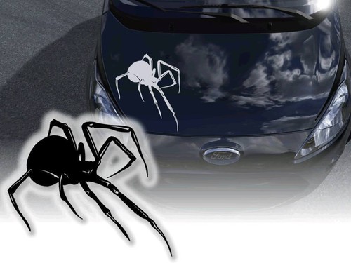Auto aufkleber spider spinne - auto,