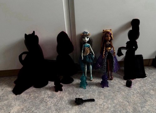 Monster high wünsche - wünsche, /