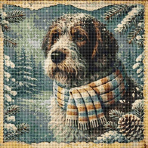 Korthals griffon welpe hund - welpe,