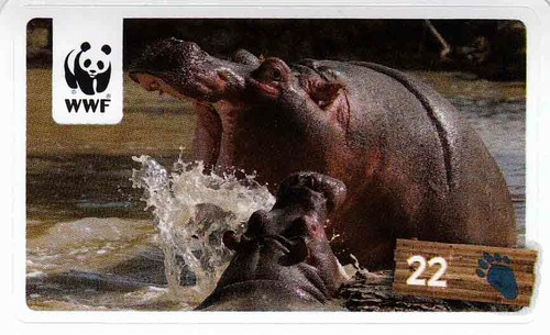 Rewe wwf tier - wwf, abenteuer