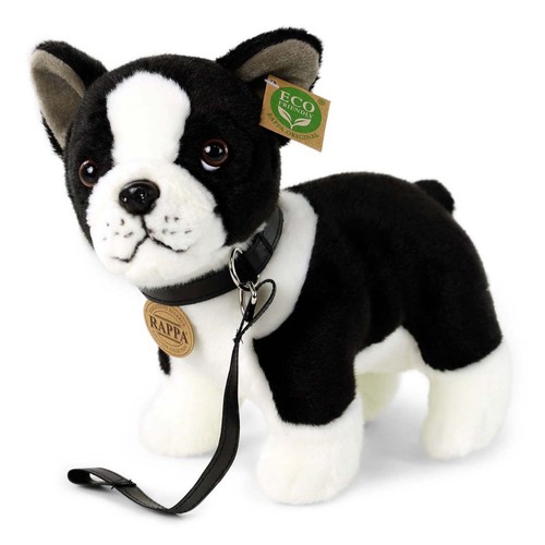 Boston terrier bulldogge cm - terrier,