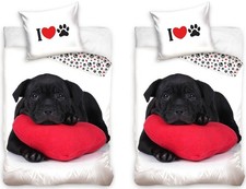 Labrador Retriever Hund