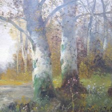Graf J. - WIENER WALD